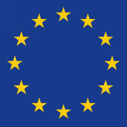 Bandiera Europa 30 x 45 cm